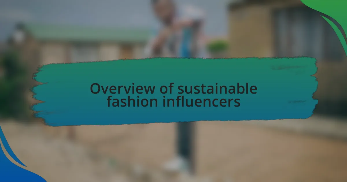 Overview of sustainable fashion influencers